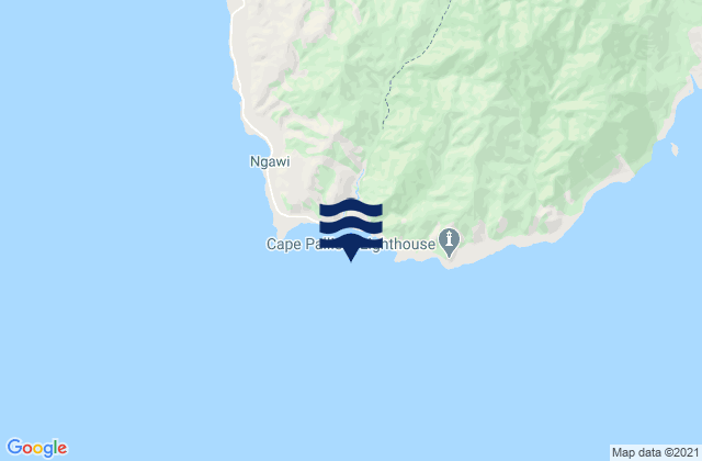 Cape Palliser (Matakitakiakupe), New Zealand潮水