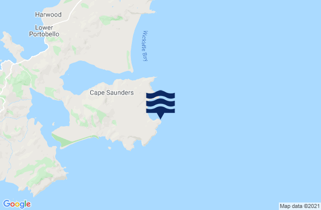 Cape Saunders, New Zealand潮水