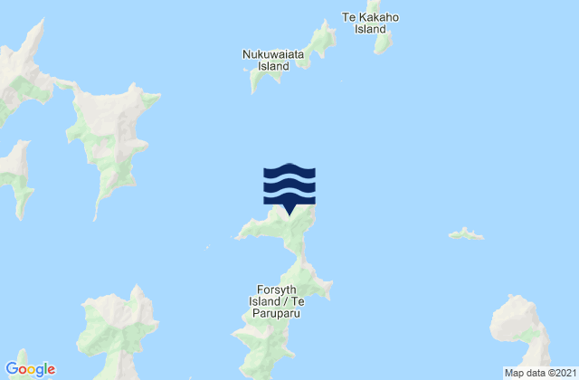 Forsyth Island (Te Paruparu), New Zealand潮水