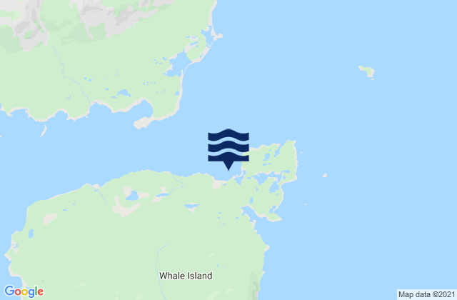Fox Bay Whale Island, United States潮水