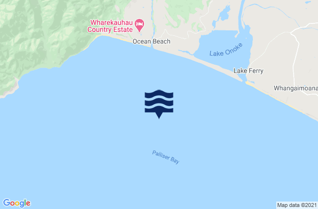 Palliser Bay, New Zealand潮水