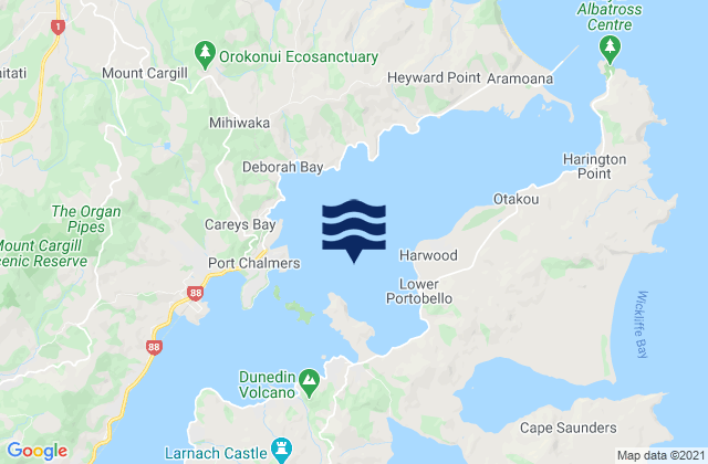 Portobello Bay, New Zealand潮水