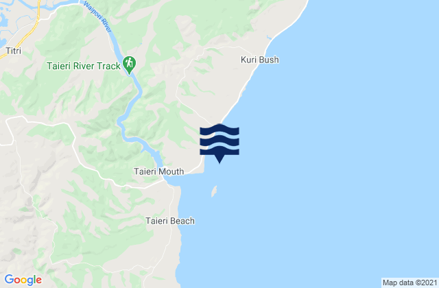 Taieri Island/Moturata, New Zealand潮水