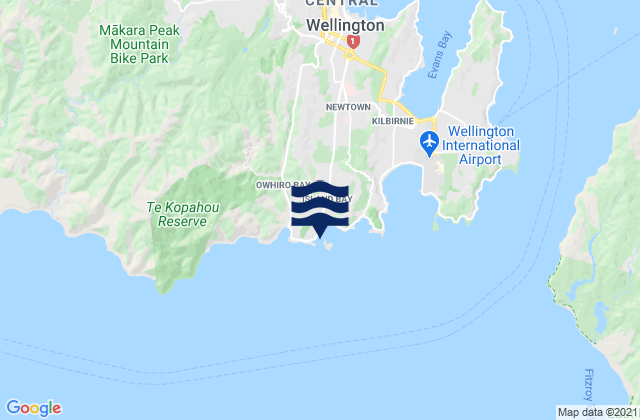 Taputeranga Island, New Zealand潮水