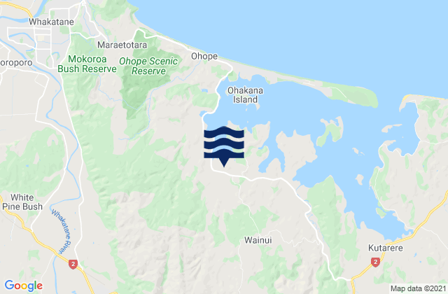 Whakatane District, New Zealand潮水