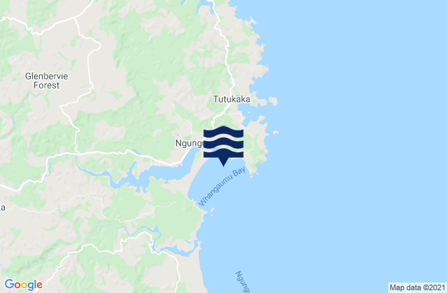 Whangaumu Bay, New Zealand潮水