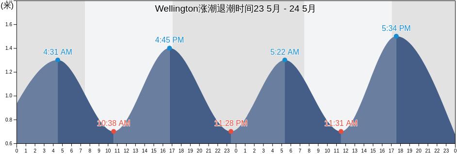 Wellington, Wellington City, Wellington, New Zealand涨潮退潮时间