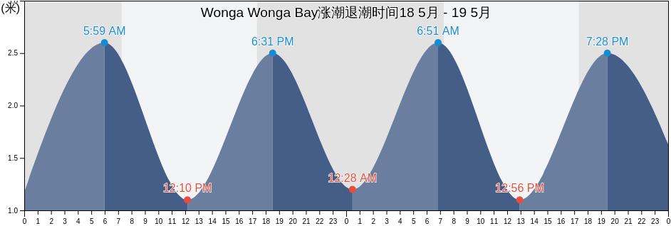 Wonga Wonga Bay, Auckland, New Zealand涨潮退潮时间